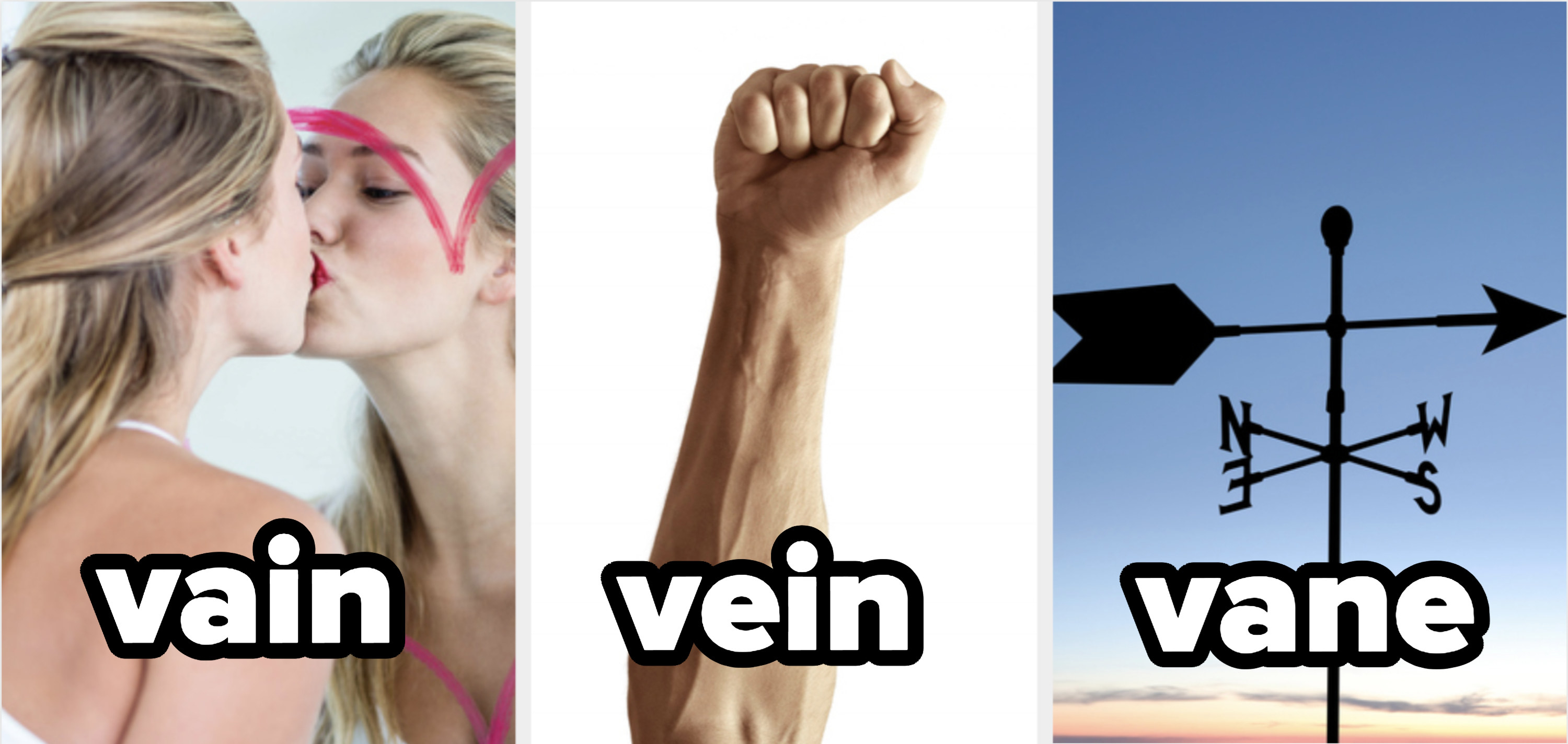 A vain woman, a vein in an arm, and a weathervane