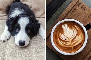 Side by side image showing a puppy and a coffee