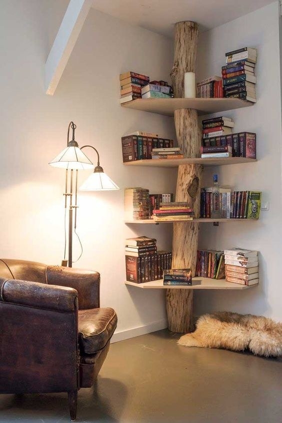 book shelf idea