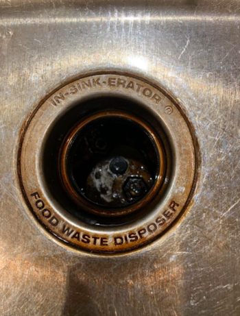 Reviewer photo showing their garbage disposal, drain and sink very clean and shiny after using Glisten Disposer cleaner 
