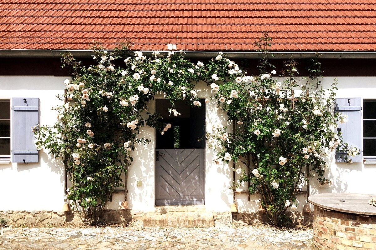 Two bougainvillea trees create an archway over the front door of a one-story cottage.