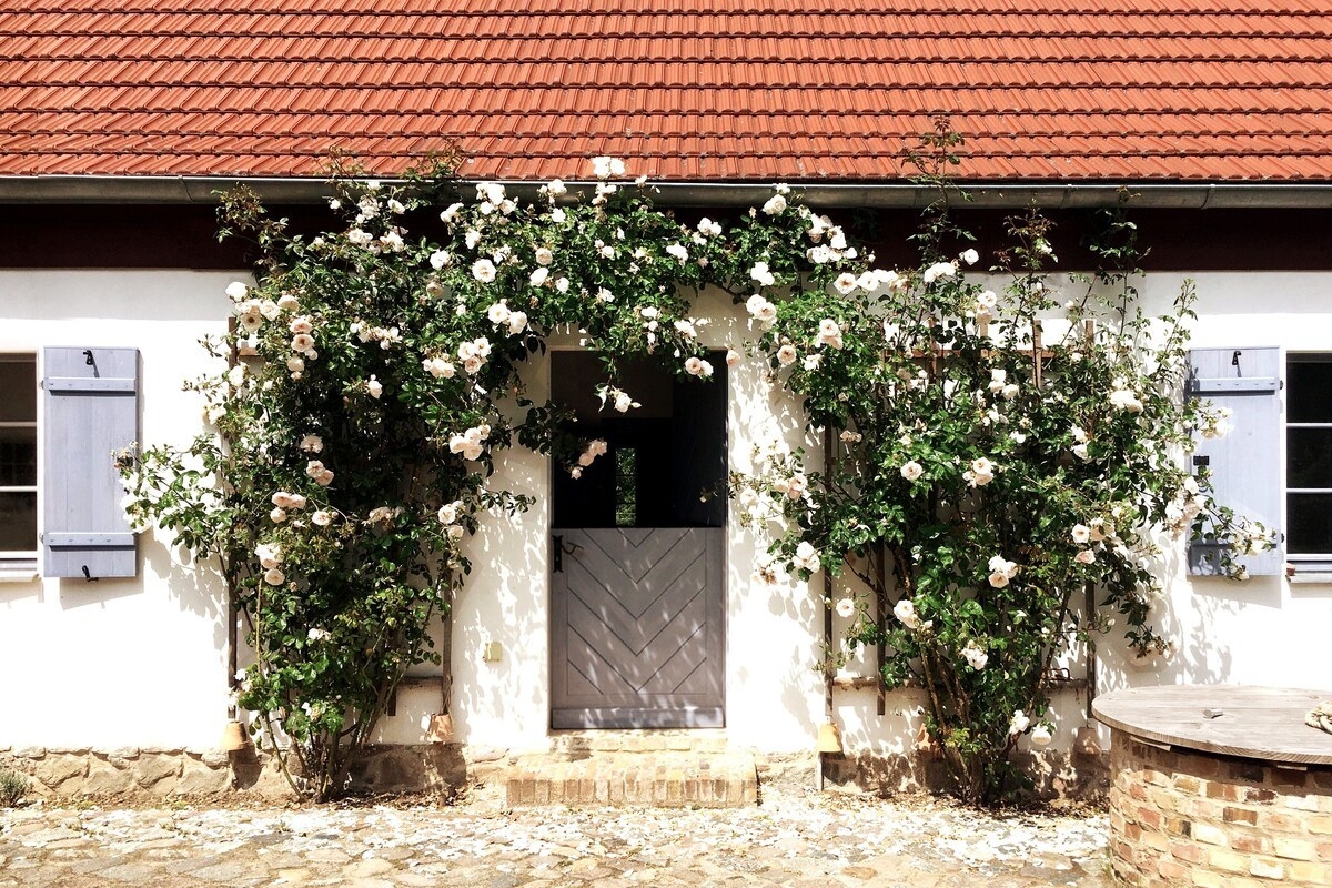 Two bougainvillea trees create an archway over the front door of a one-story cottage. 