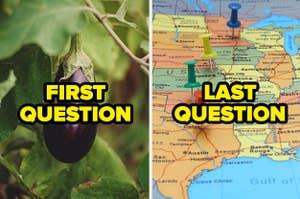 Side-by-side images of an eggplant with the label "first question" on it, and a US map with the label "last question" on it