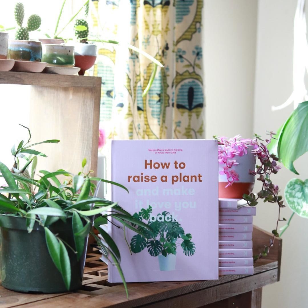 A book called how to raise a plant and make it love you back on a table next to a medium-sized plate