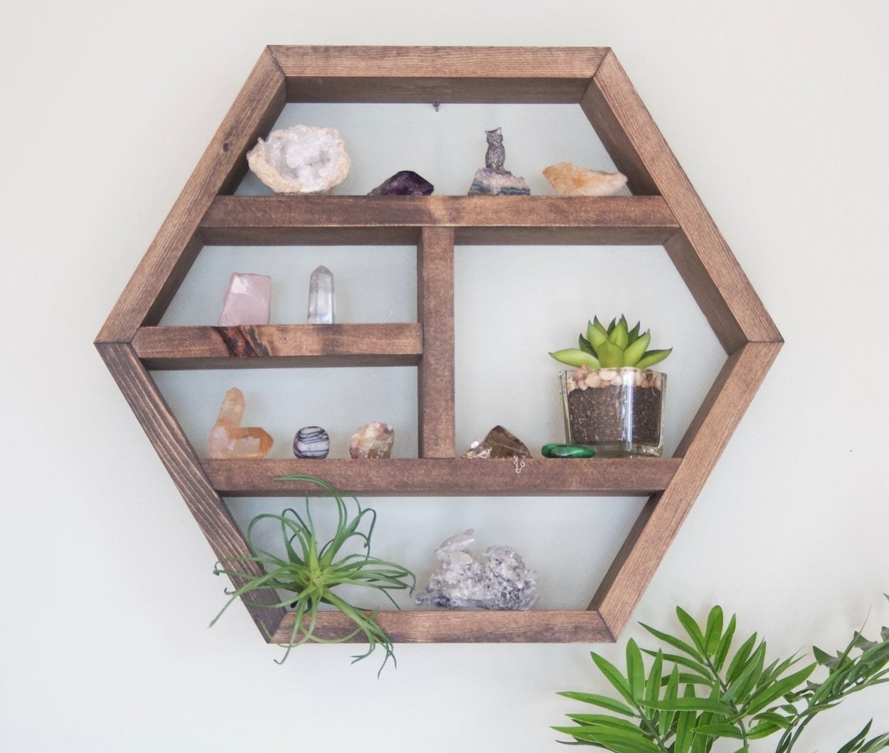the hexagon shelf holding plants and crystals