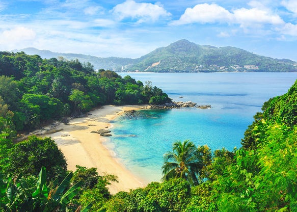 A stunning beach with clear water surrounded by lush greenery