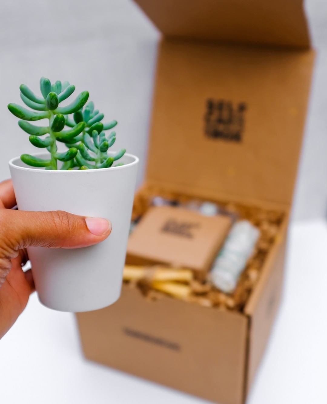 hand holding succulent in a grey vase in front of an open box