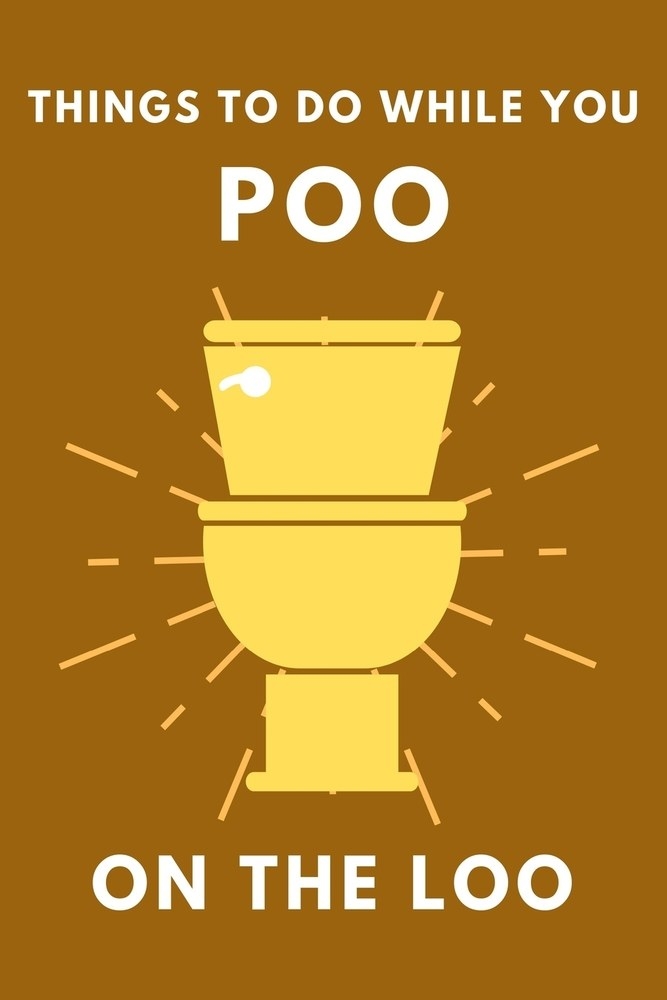 The Cover of &quot;Things To Do While You Poo On The Loo&quot;