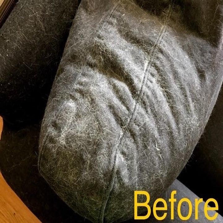 Reviewer's before picture of couch covered in pet hair