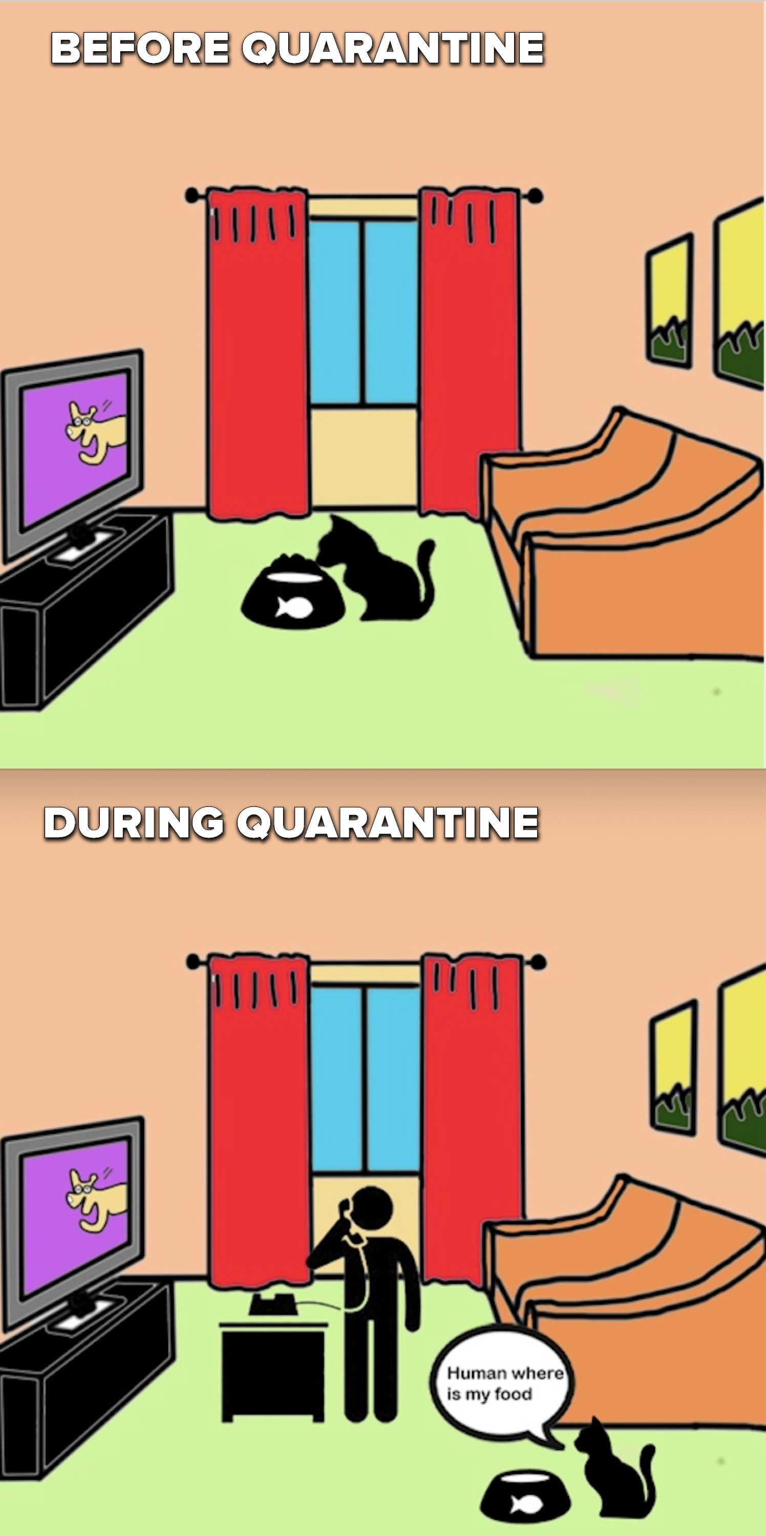 Scene 1: A cat eats food in an empty living room. Scene 2: A cat waits by its owner and food bowl thinking, &quot;Human, where is my food?&quot;