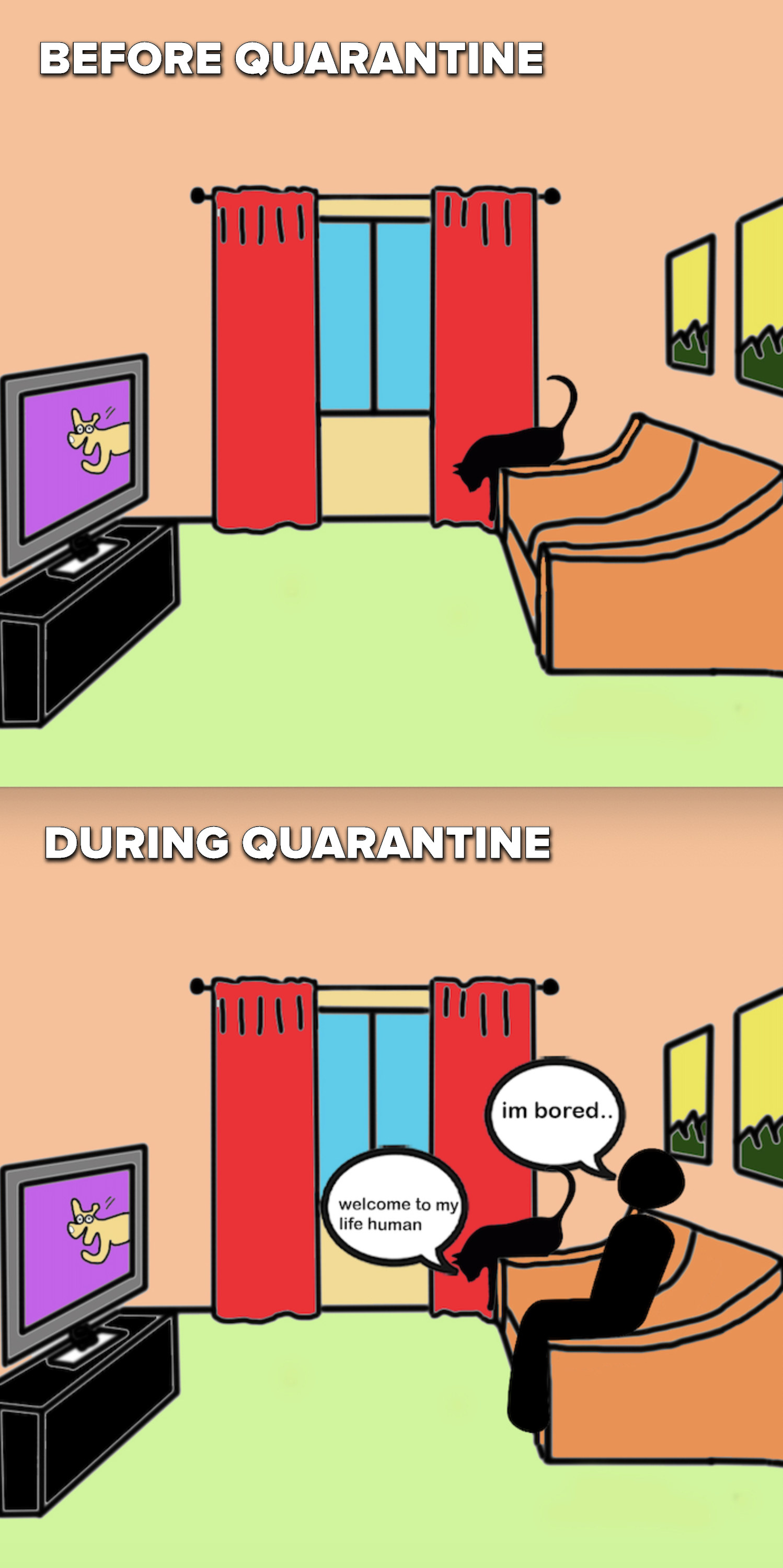 Scene 1: A cat stretches on a couch. Scene 2: A human sits on the couch and thinks, &quot;I&#x27;m bored&quot; and a cat on the couch says, &quot;Welcome to my life, human.&quot;