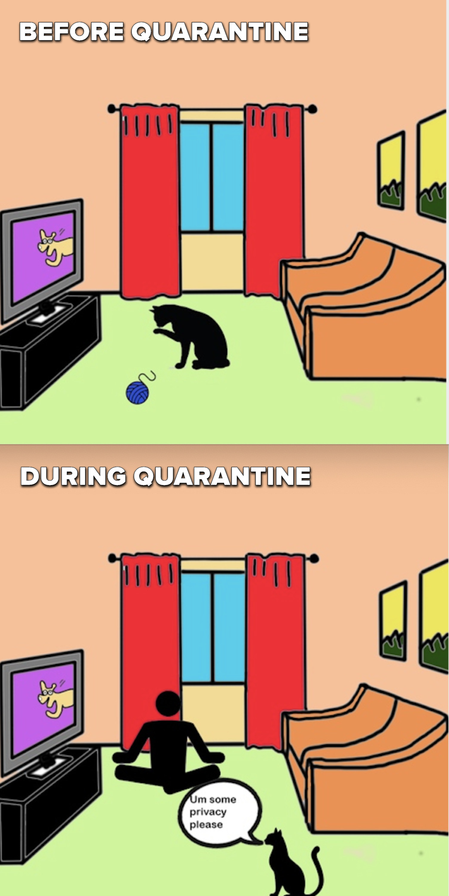 Scene 1: A single cat is grooming itself in an empty room. Scene 2: The owner is doing yoga in the room so the cat thinks &quot;Um, some privacy please!&quot;