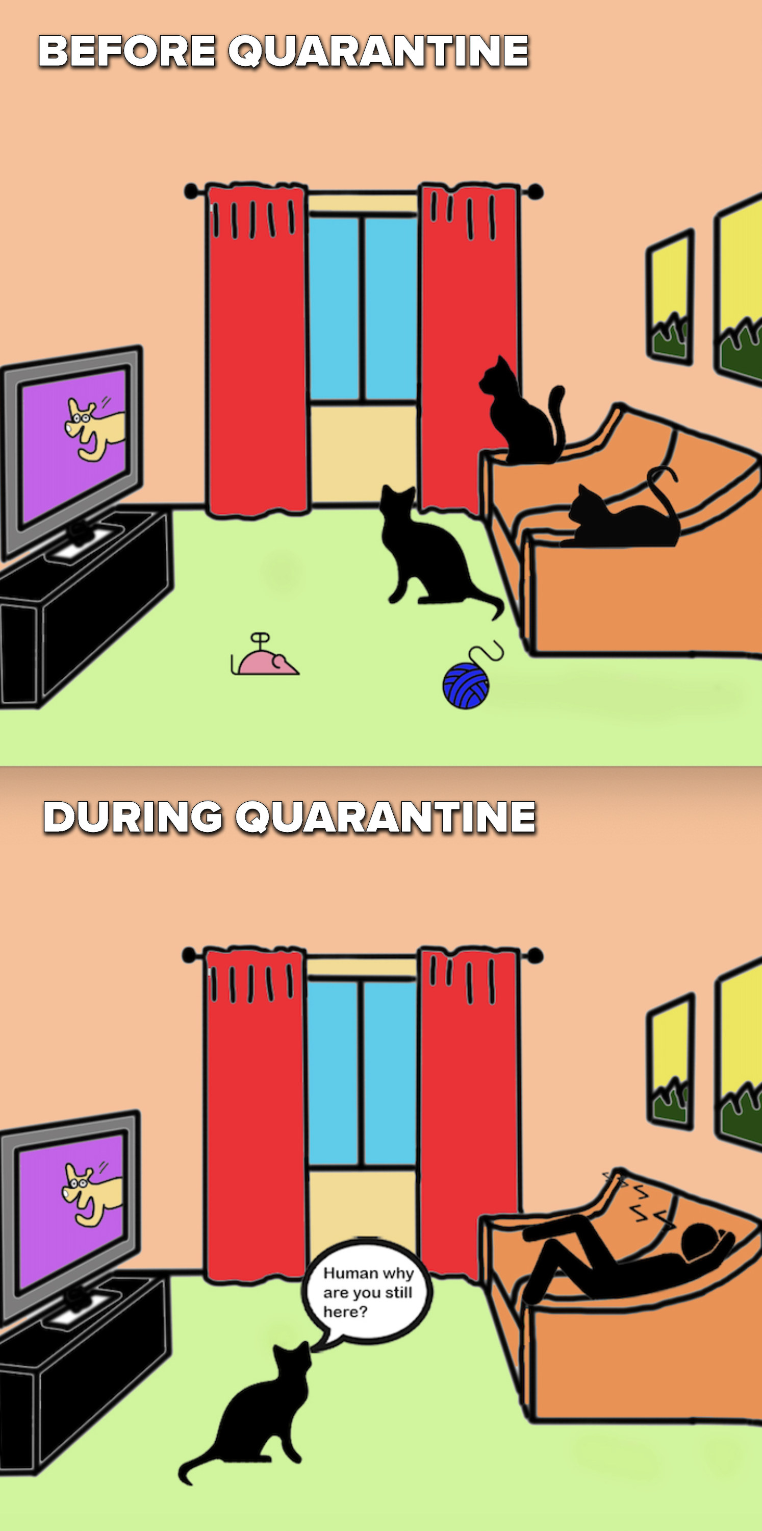 Scene 1: Three cats sit in each other&#x27;s company near cat toys in an empty room. Scene 2: A person sleeps on a couch while a single cat on the ground thinks, &quot;Human, why are you still here?&quot;