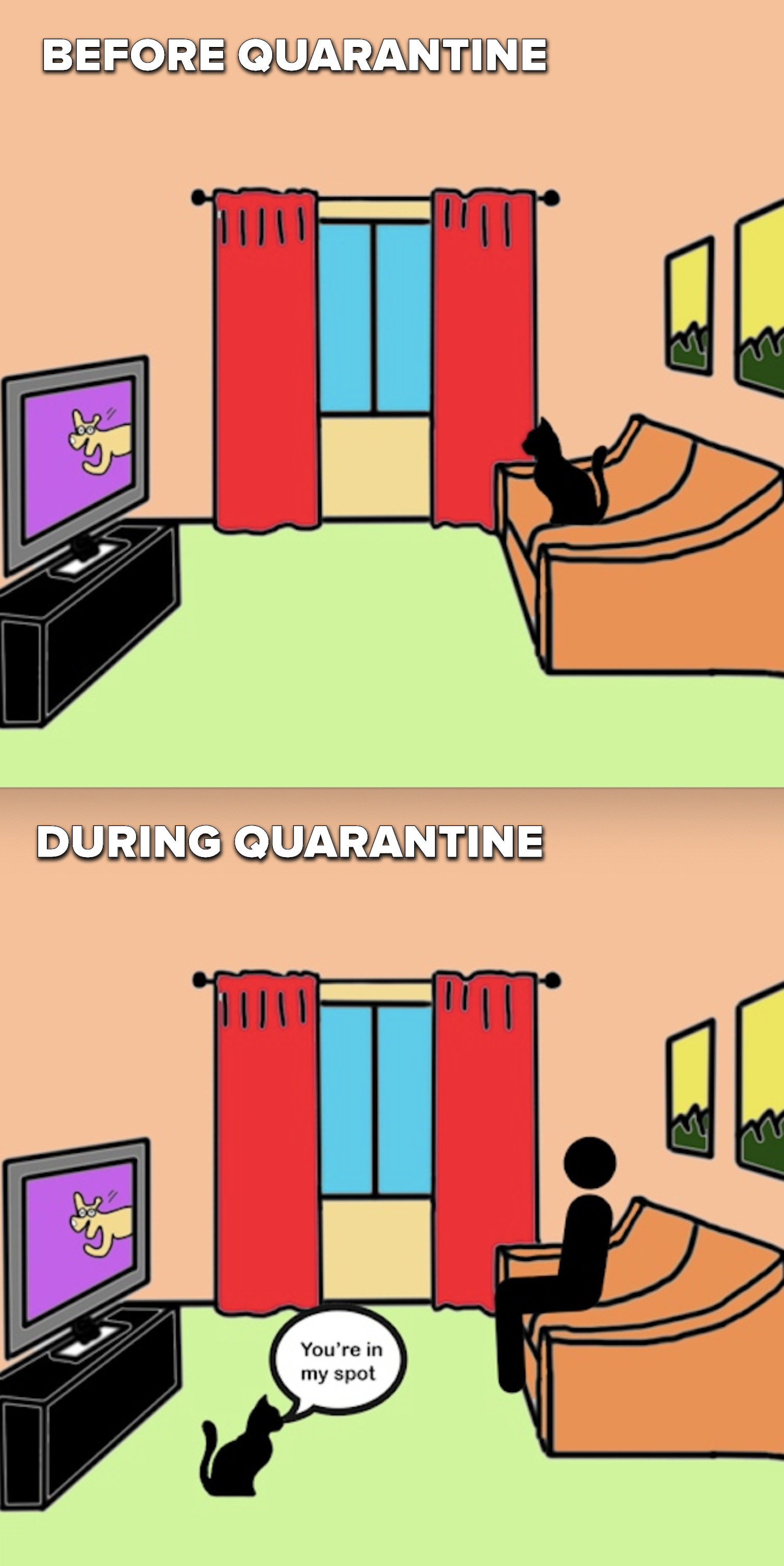 Scene 1: A cat watches TV on the couch of an empty room. Scene 2: A cat watches its owner sit on the couch from the ground and thinks, &quot;You&#x27;re in my spot!&quot;