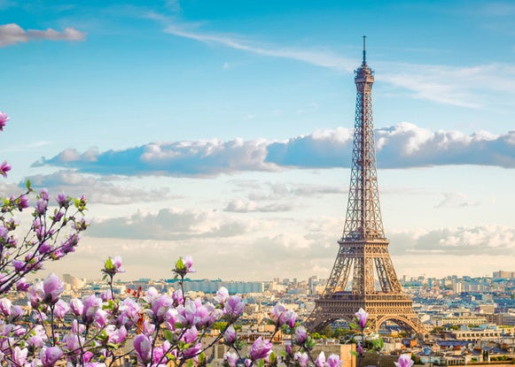 The Eiffel Tower with the Paris skyline and pink cherry blossom