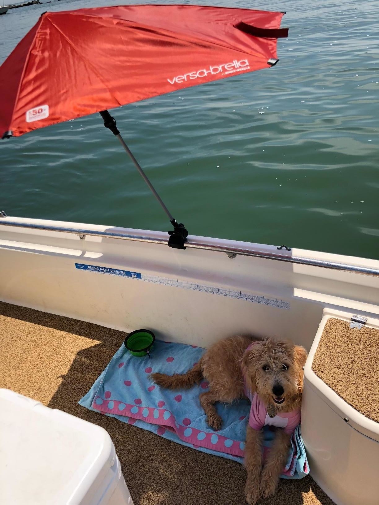 Reviewer photo of the umbrella on the side of a boat with a dog sitting on a towel under it