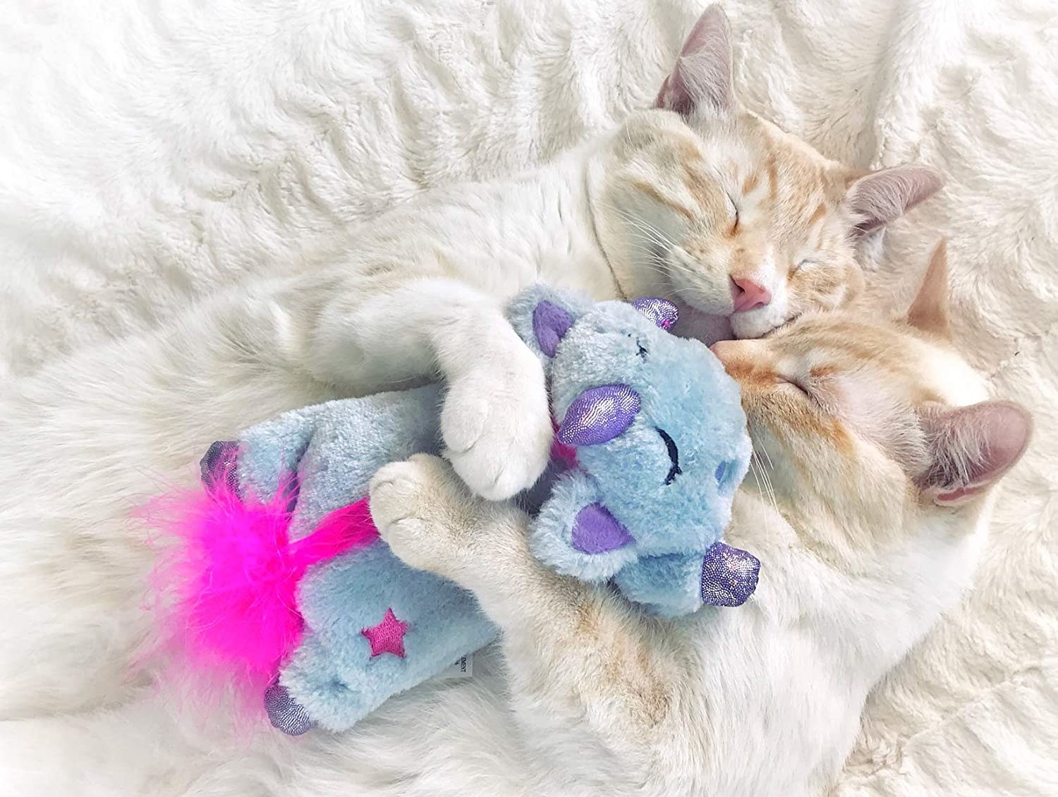 two cats cuddling the soft toy