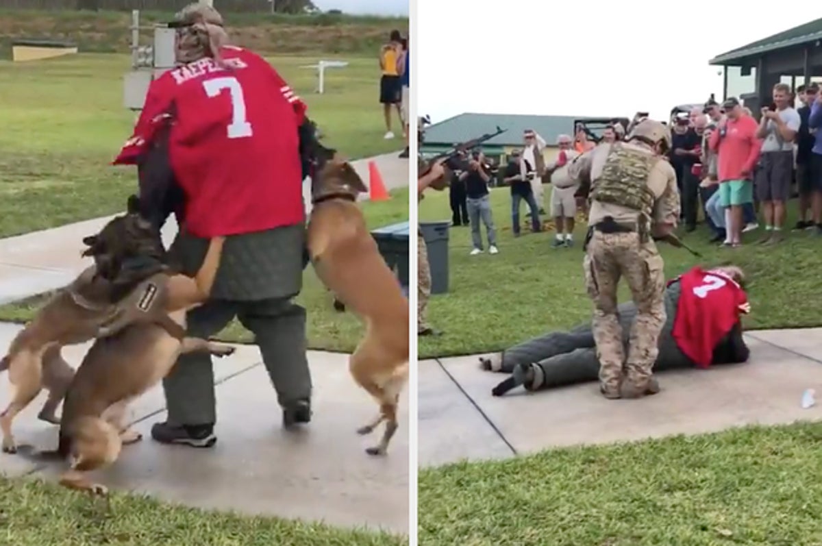 US Navy 'investigating' video showing four military dogs attacking man in Colin  Kaepernick jersey, The Independent