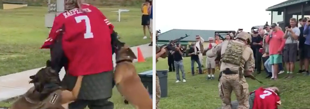 Kaepernick jersey shown in K9 dog demonstration video; Navy SEALs