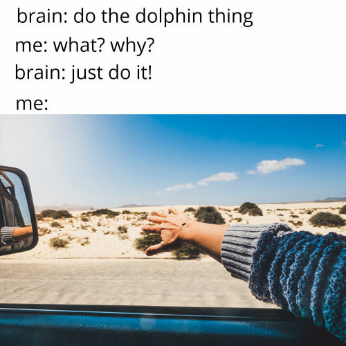 Picture of a hand outside a car window flat and riding the wind