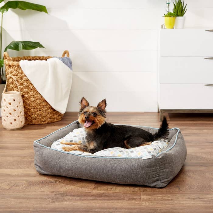 A small yorkie laying on the bed, which has a grey walled base and a white diamond-pattern cushion that sets in the middle