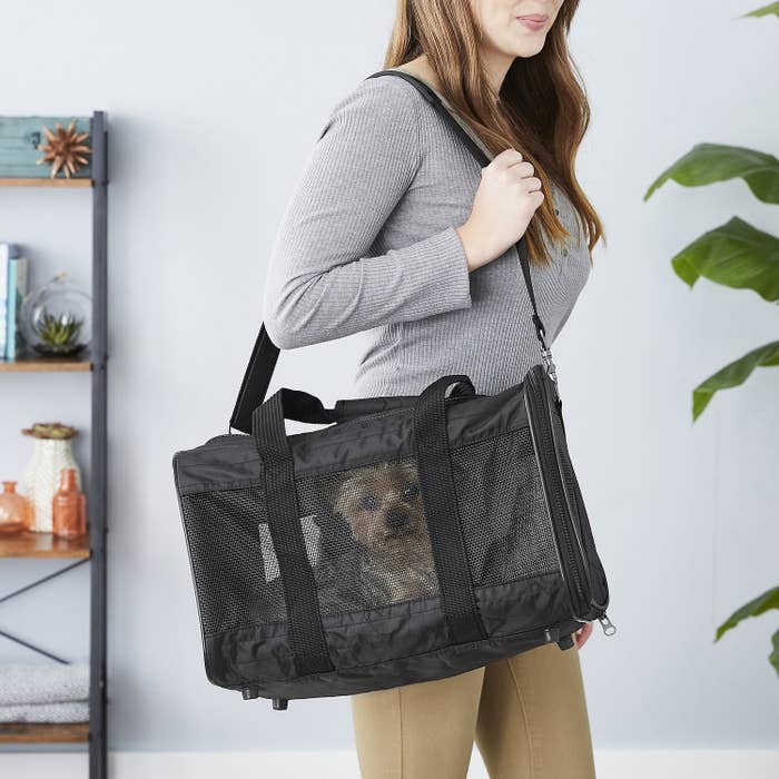 A model carrying a dog inside a medium sized bag with a strap