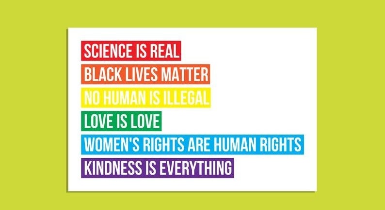 A rainbow sticker that says science is real black lives matter no human is illegal love is love women&#x27;s rights are human rights kindness is everything