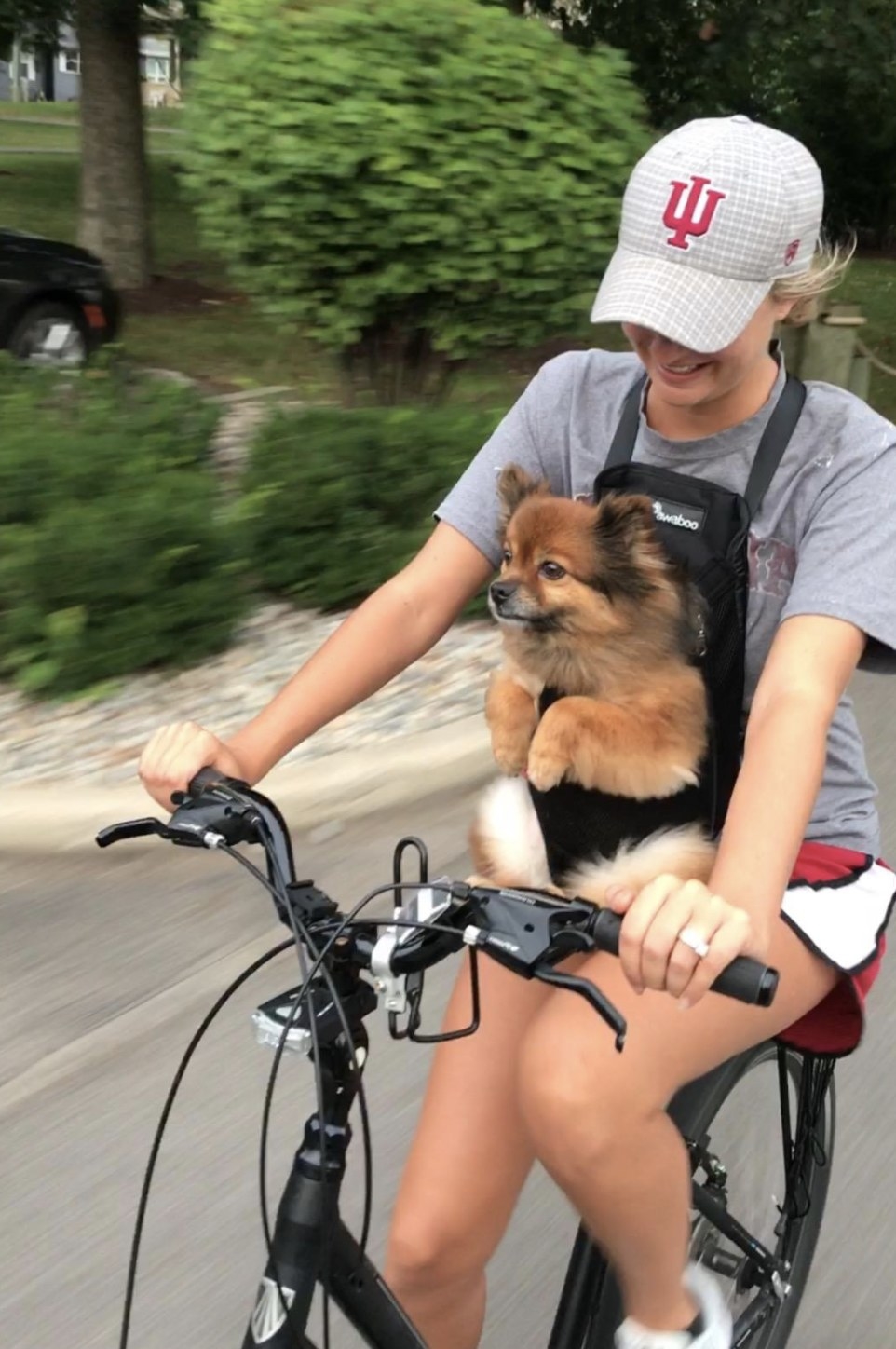 A reviewer biking with their dog on their chest in the backpack 