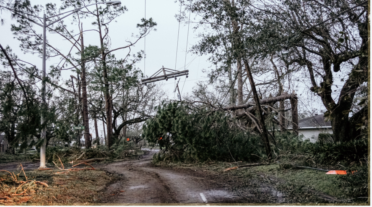 Trees and electrical wires are down over a dirt road after the hurricane in Louisiana