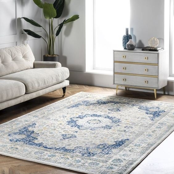The blue and white patterned area rug 