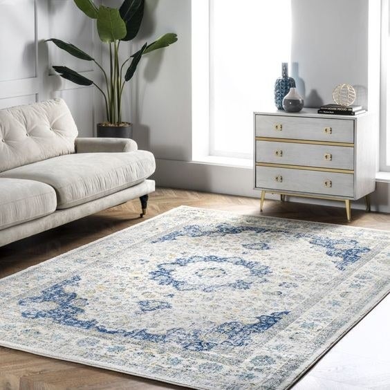 The blue and white patterned area rug