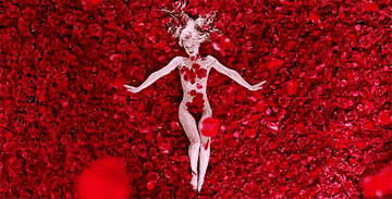 Angela lays on a bed of roses, naked, covered in nothing but petals.