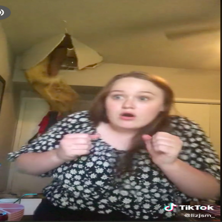 Viral TikTok Shows Mother Bursting Through Ceiling While She Sings