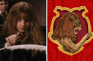 hermione using her want to levitate a feather and the gryffindor crest