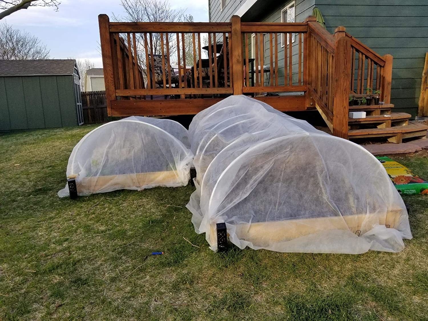 reviewer pier of the net-like covers over long raised garden beds