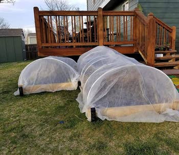 reviewer pier of the net-like covers over long raised garden beds