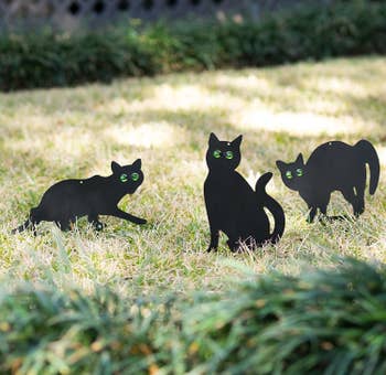 The black scare cats, which are about the size of a real cat and have reflective eyes