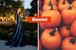 gemini and pumpkins