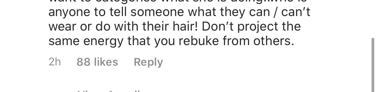 Adele Carnival Bikini Pic Sparks Backlash