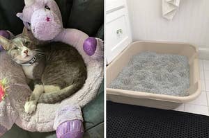 to the left: a cat cuddled in a unicorn, to the right: a litter box