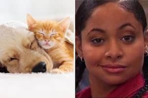 Dog and cat snuggling and Raven Symone.