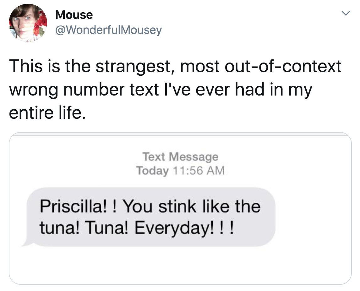 Text of someone saying pricilla you stink like tuna everyday