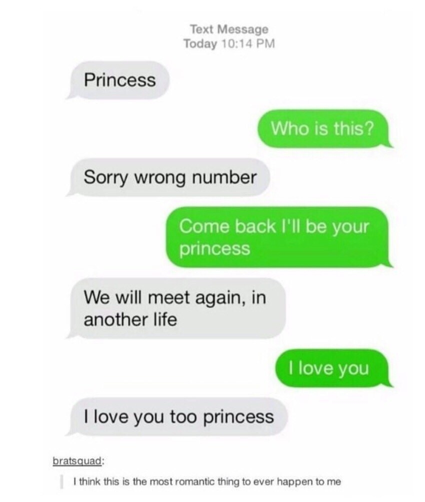 Text of someone saying princess and then sorry wrong number and the other person says come back i&#x27;ll be your princess
