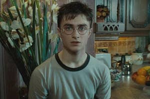 Harry Potter sitting in a kitchen
