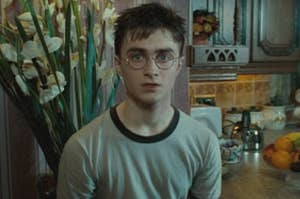 Harry Potter sitting in a kitchen