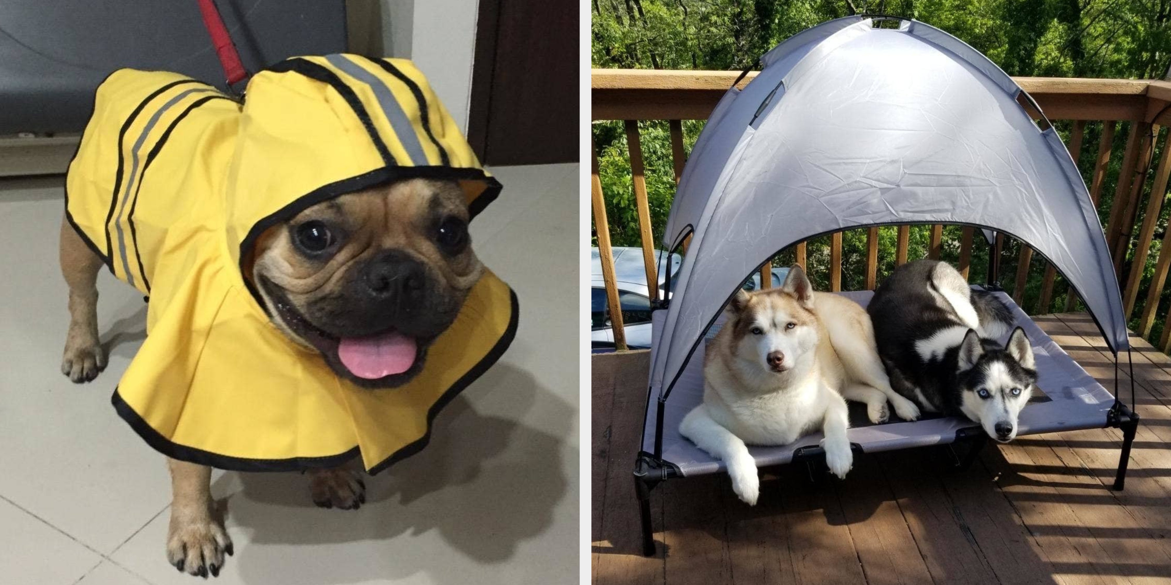 44 Pet Products From Amazon Designed By Geniuses