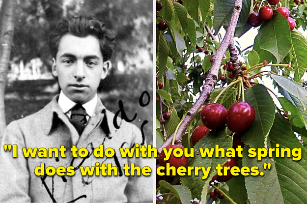 A cherry tree and the text