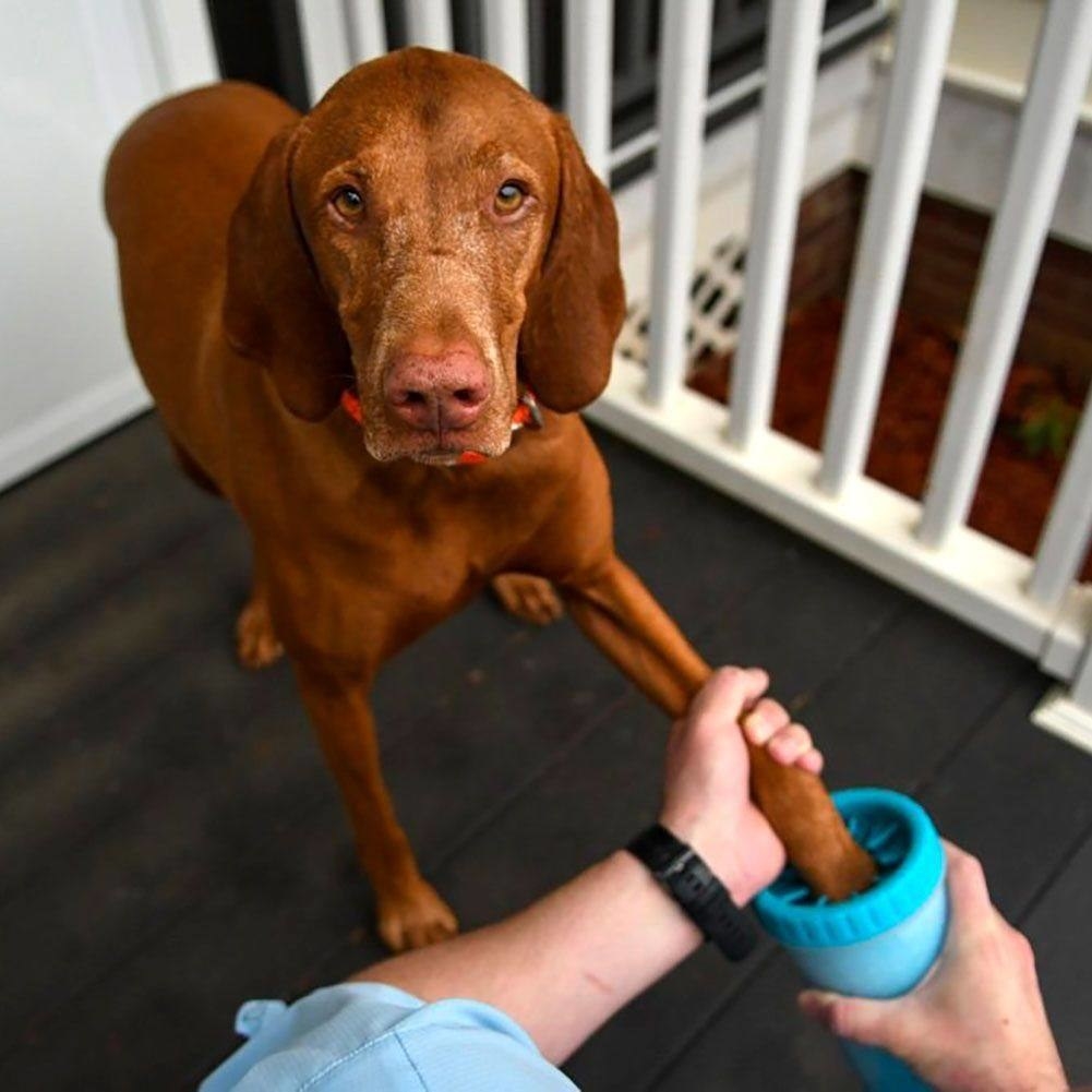A person cleaning a dog&#x27;s paw with the paw cleaner