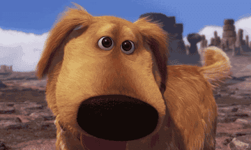 Dug the dog from the movie Up looking at you lovingly and wagging his tail.