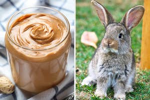 On the left, a jar of peanut butter, and on the right, a bunny sits in the grass